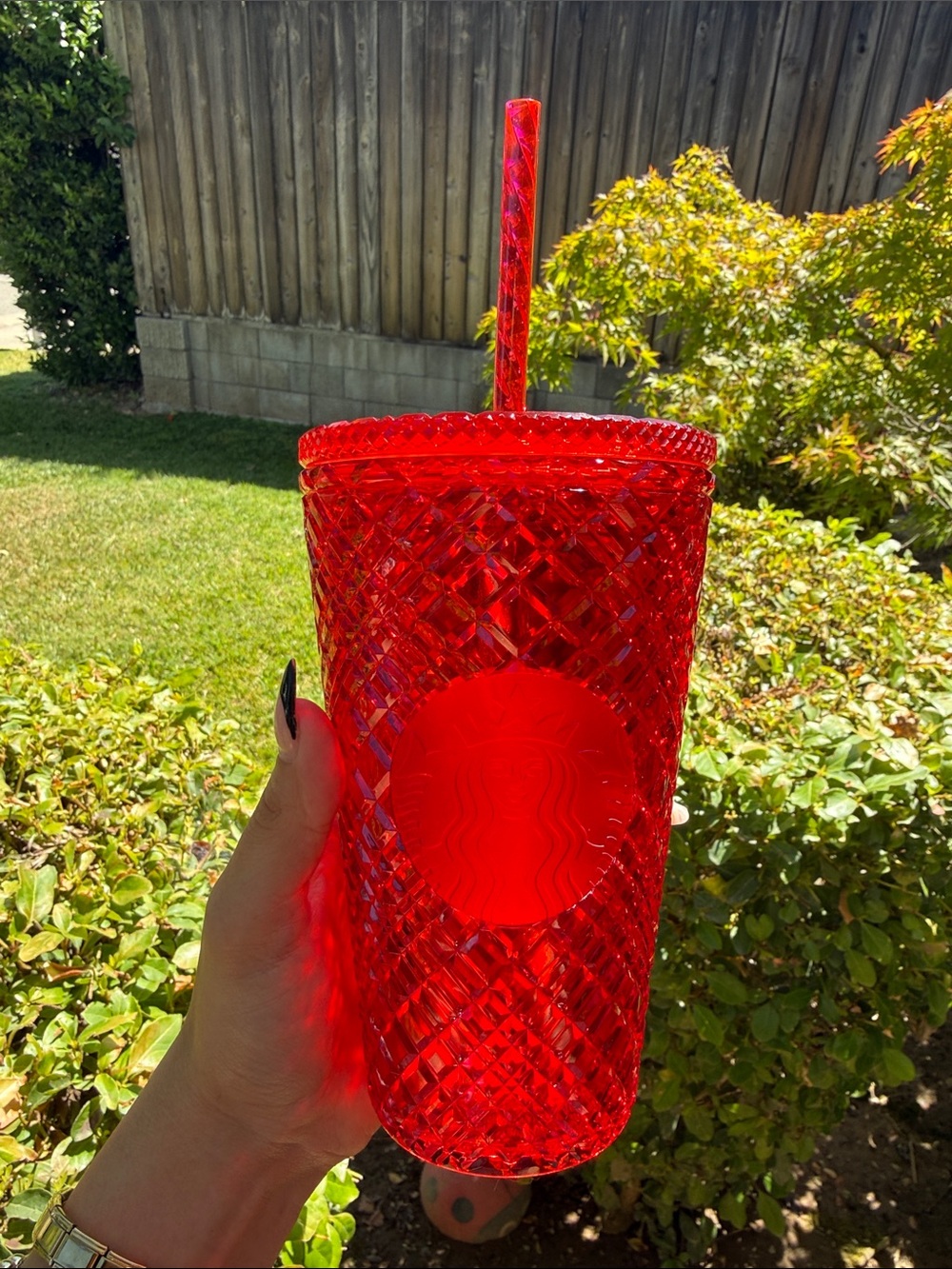 starbucks grande red holiday cup